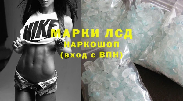 трава Белокуриха