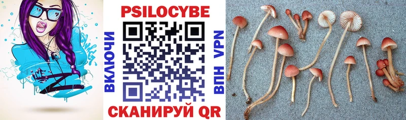 Галлюциногенные грибы MAGIC MUSHROOMS купить Дигора